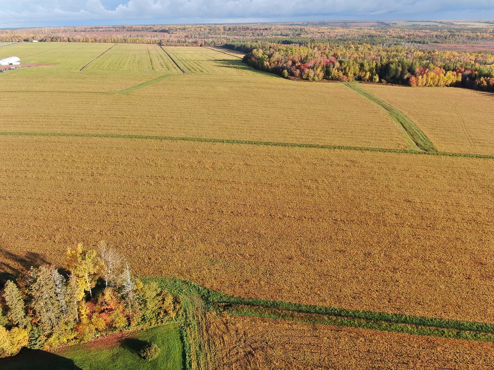 Field Tour at AWP BMP Project PEI AgriWatershed Partnership